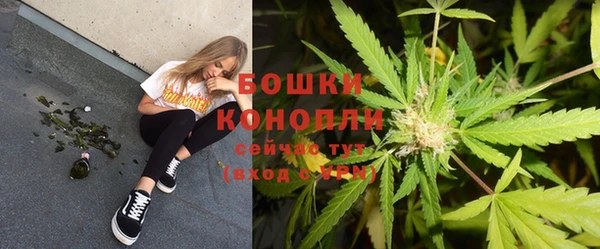 PSILOCYBIN Баксан