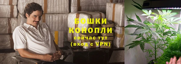 первитин Белокуриха