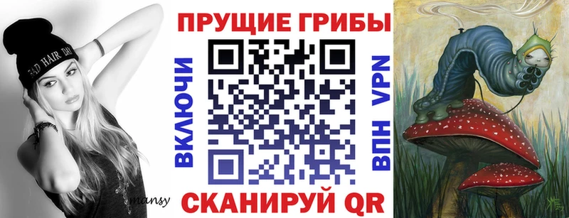купить   mega зеркало  Галлюциногенные грибы ЛСД  Свободный 