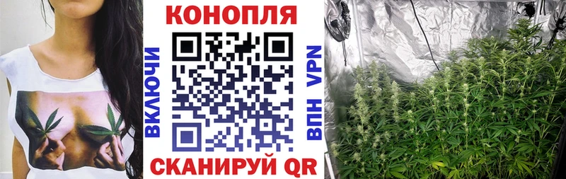 цены   Свободный  Бошки Шишки Ganja 